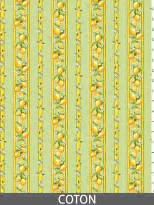 Citron vert - Coton_regle