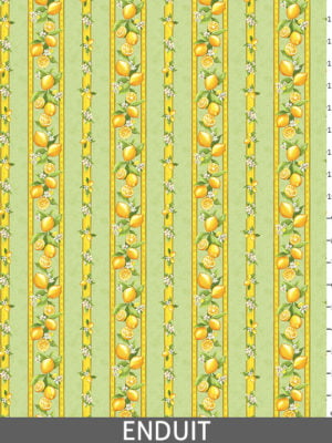 Citron vert - Enduit_regle